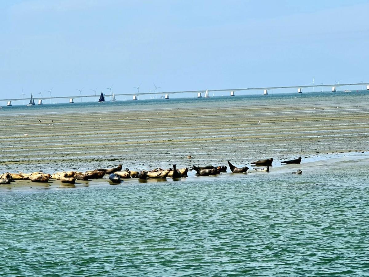 De Corner Van Zeeland Met Jacuzzi Sint Annaland Dış mekan fotoğraf