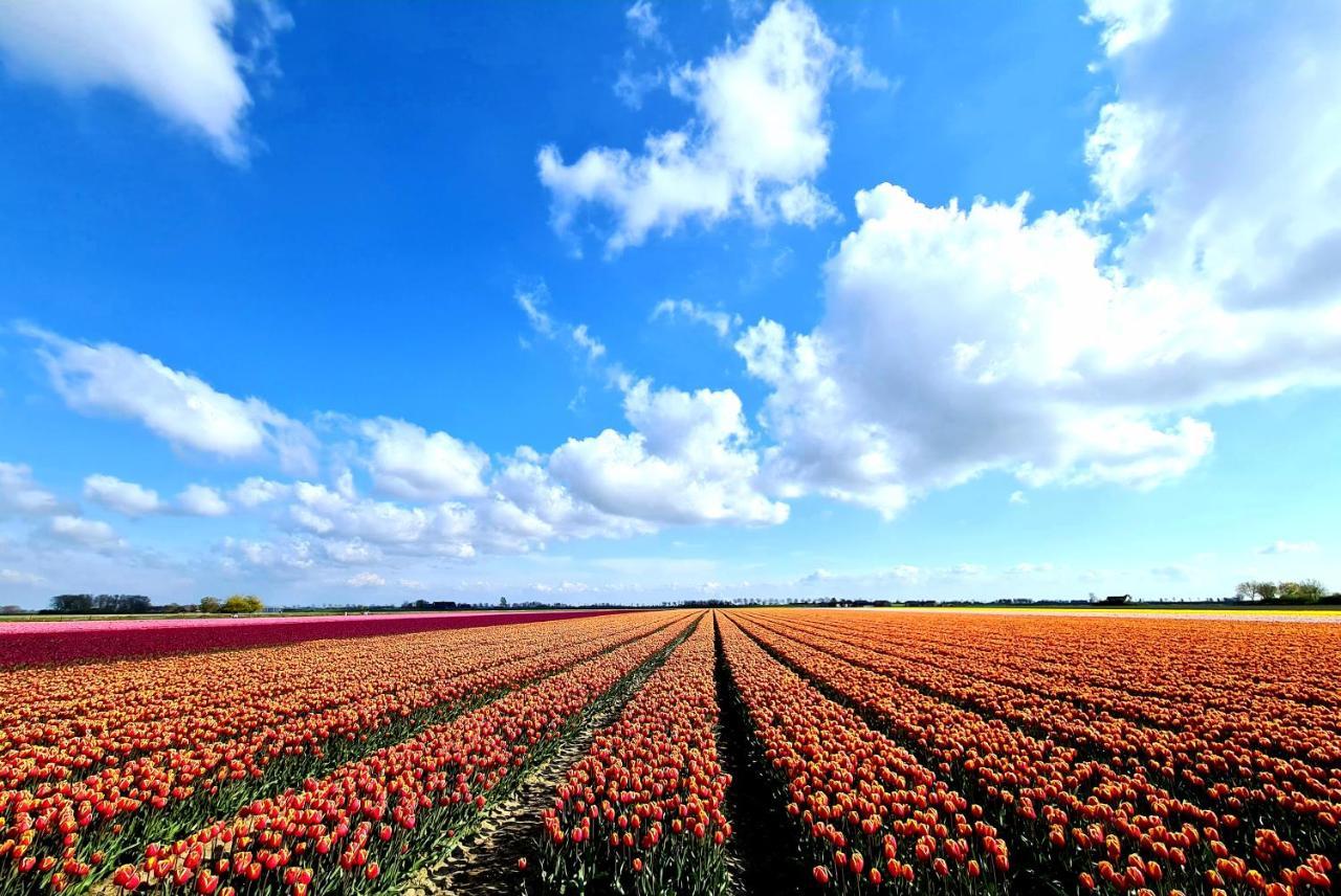 De Corner Van Zeeland Met Jacuzzi Sint Annaland Dış mekan fotoğraf