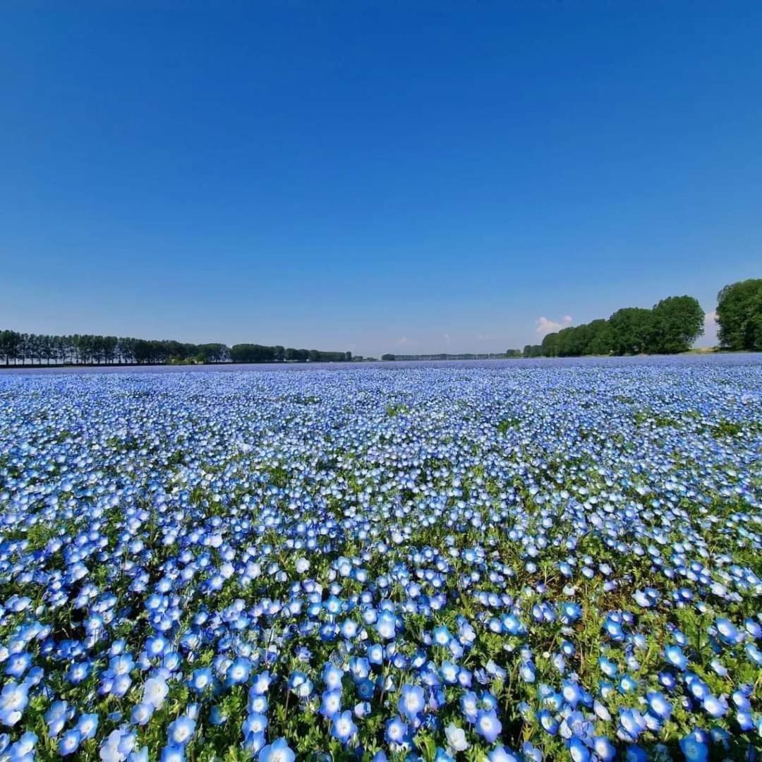De Corner Van Zeeland Met Jacuzzi Sint Annaland Dış mekan fotoğraf